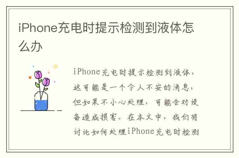 iPhone充电时提示检测到液体怎么办